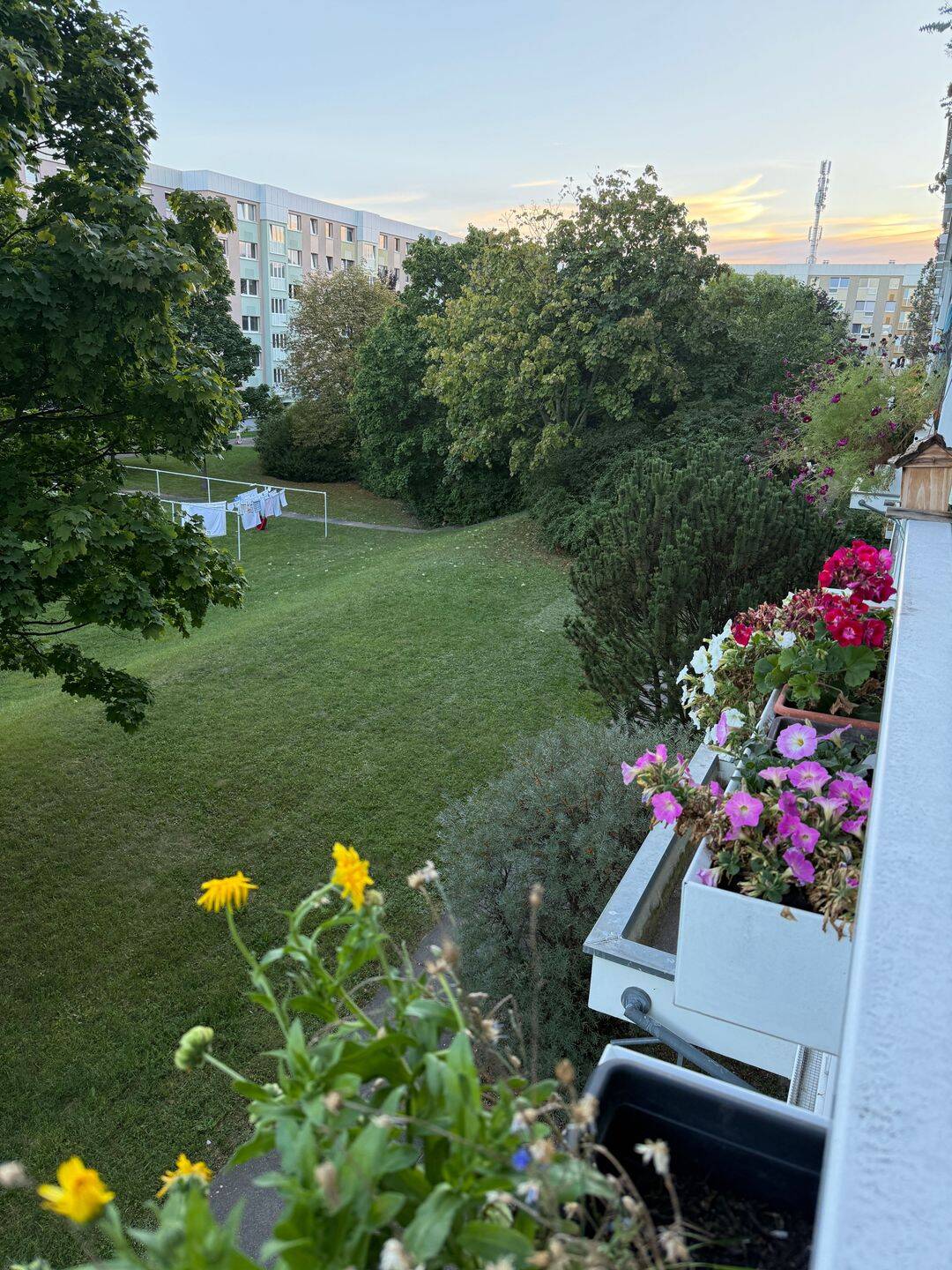 Property thumbnail 5