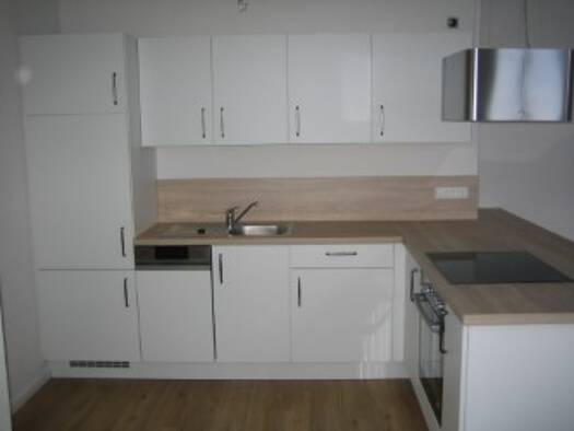 Studio zur Miete 580 € 2 Zimmer 75 m² Geschoss -1/3 frei ab sofort Villinger Straße Stadtgebiet Vöhrenbach 78147