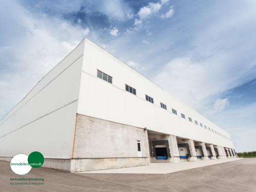 Lagerhalle zur Miete provisionsfrei 1.412 m² Lagerfläche Egelsbach 63329