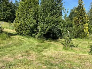 Grundstück zum Kauf 84.000 € 850 m² Grundstück Dippoldiswalde Dippoldiswalde 01744