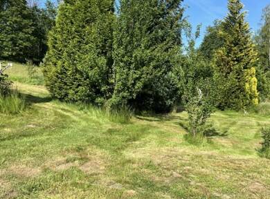Grundstück zum Kauf 84.000 € 850 m² Grundstück Dippoldiswalde Dippoldiswalde 01744