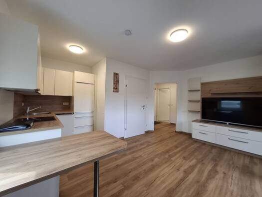 Wohnung zur Miete 508 € 2 Zimmer 40,9 m² Sierning 4523