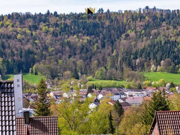 Mehrfamilienhaus zum Kauf 799.000 € 9,5 Zimmer 242 m² 1.159 m² Grundstück Plüderhausen 73655