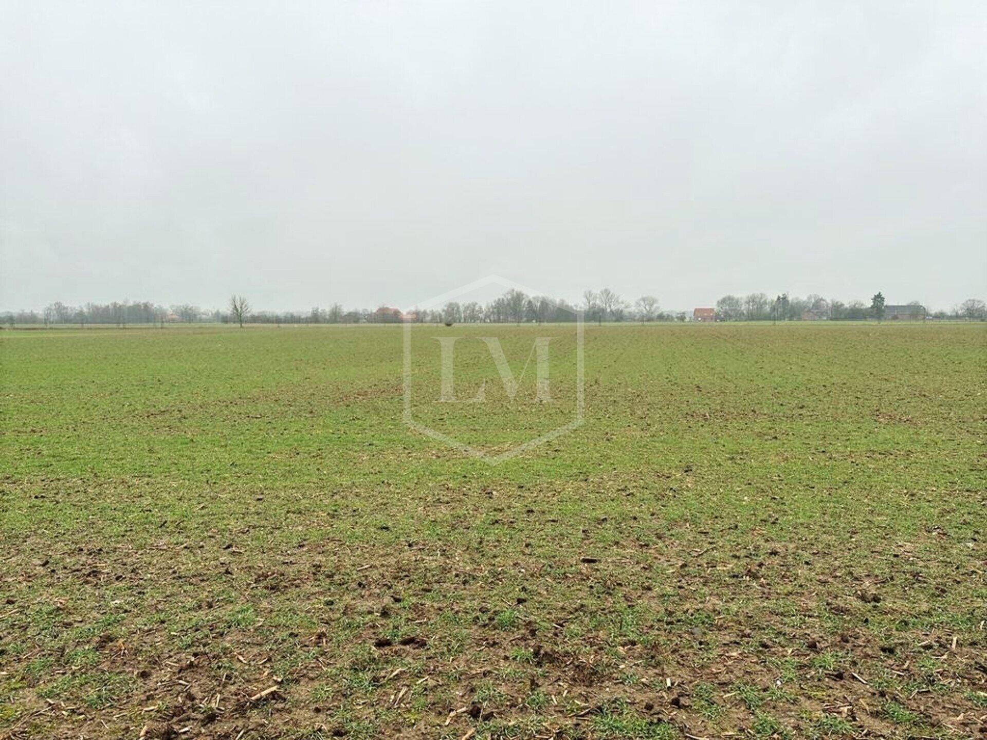 Land-/Forstwirtschaft zum Kauf 120.000 € 11.137 m²<br/>Grundstück Xanten Xanten 46509