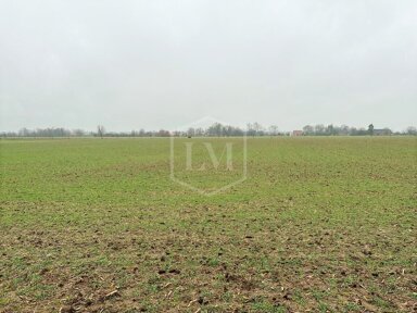 Land-/Forstwirtschaft zum Kauf 120.000 € 11.137 m² Grundstück Xanten Xanten 46509