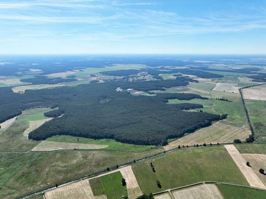 Land-/Forstwirtschaft zum Kauf 599.000 € 657.404 m² Grundstück Beelitz Beelitz 14547