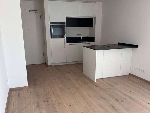 Terrassenwohnung zur Miete - Erstbezug 1.695 € 2 Zimmer 48 m² EG frei ab sofort Pasing-Obermenzing München 81247