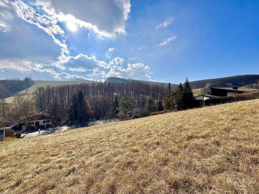 Grundstück zum Kauf 329.000 € 751 m² Grundstück Mauerbach 3400