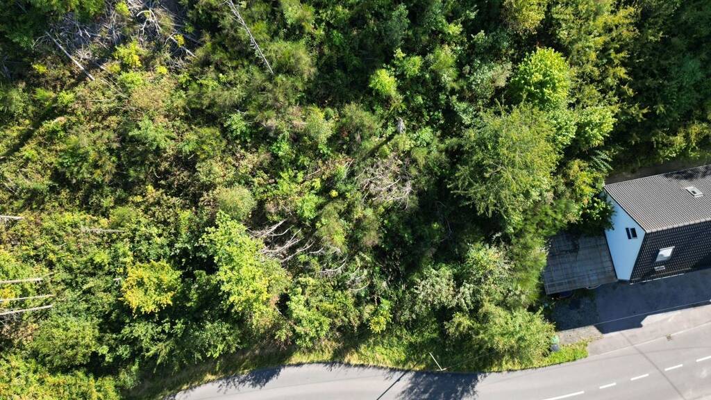 Grundstück zum Kauf 69.000 € 1.556 m² Grundstück Wiedenest Bergneustadt 51702