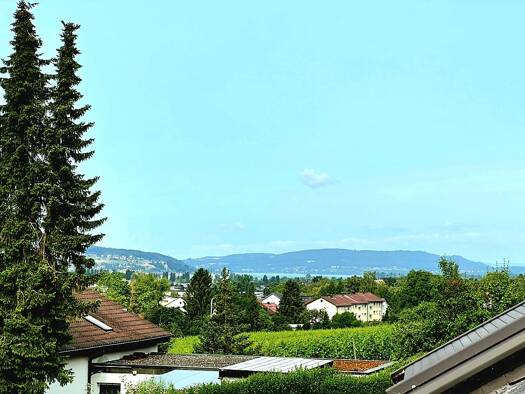 Haus zum Kauf 1.699.900 € 7 Zimmer 220 m² 500 m² Grundstück frei ab sofort Konstanz 78462