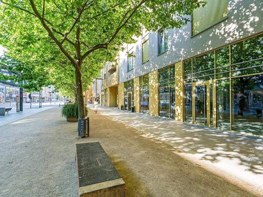 Verkaufsfläche zur Miete provisionsfrei 4.805 € 1 Zimmer 220,3 m² Verkaufsfläche teilbar ab 220,3 m² Innere Altstadt Dresden 01067