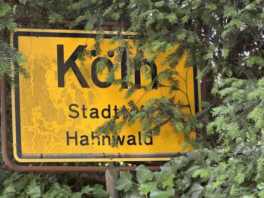 Villa zum Kauf provisionsfrei 4.450.000 € 8 Zimmer 400 m² 2.500 m² Grundstück Hahnwald Köln 50996