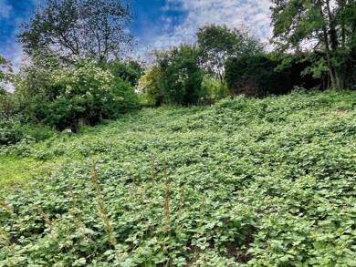 Grundstück zum Kauf 124.000 € 480 m² Grundstück Holzwickede Holzwickede 59439