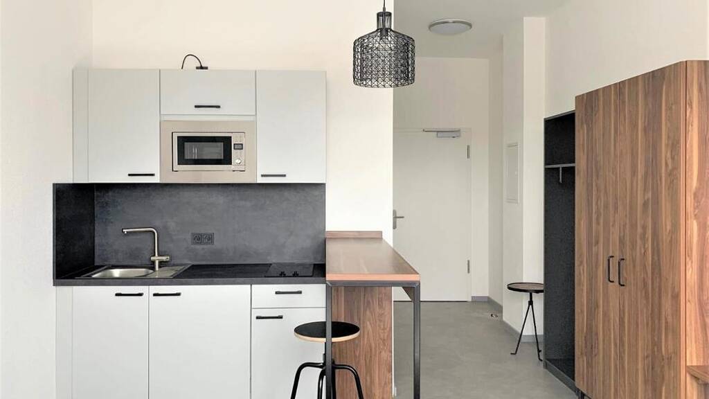 Studio zur Miete auf Zeit 790 € 1 Zimmer 29 m² frei ab 01.05.2026 Schwanheim Frankfurt 60529