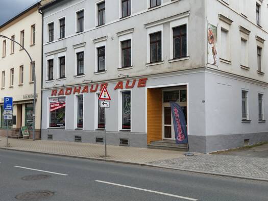 Mehrfamilienhaus zum Kauf 85.000 € 12 Zimmer 549 m² 420 m² Grundstück Aue 08280