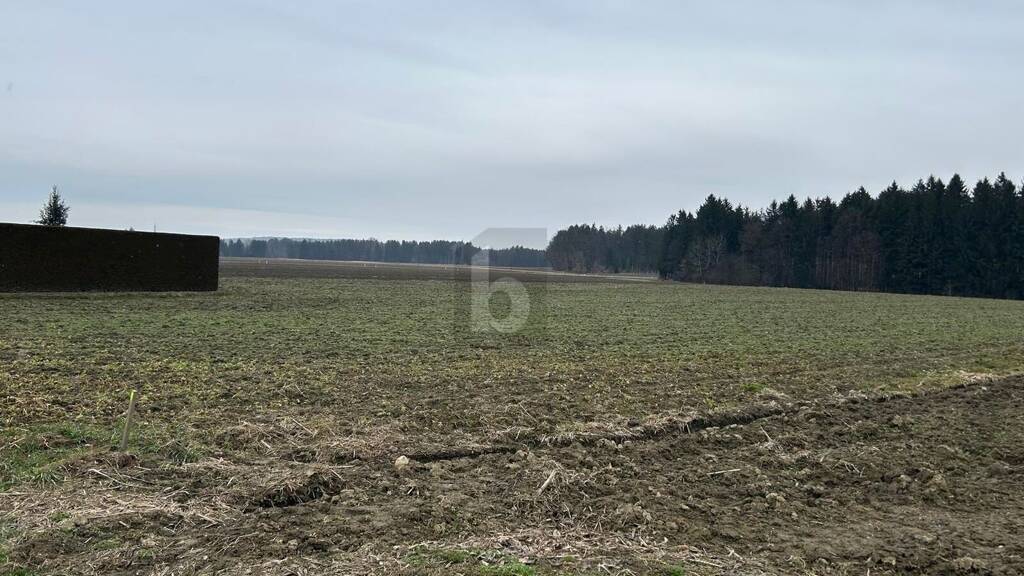 Grundstück zum Kauf 120 € 3.252 m² Grundstück Gabersdorf 8424