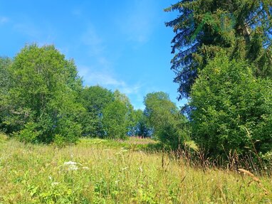 Einfamilienhaus zum Kauf 228.000 € 1 Zimmer 90 m² 7.293 m² Grundstück Haidmühle / Marchhäuser 94145