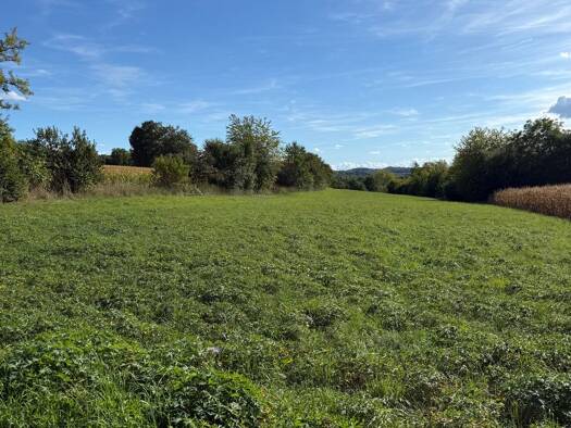 Grundstück zum Kauf 27.600 € 6.900 m² Grundstück frei ab sofort Herbolzheim Herbolzheim 79336