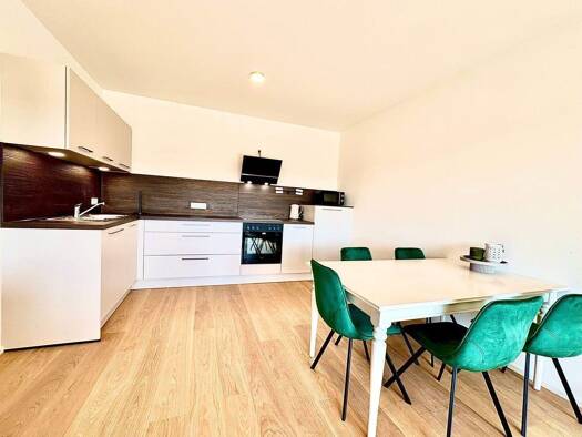 Wohnung zur Miete 1.550 € 3 Zimmer 73 m² frei ab 01.02.2026 Martinerfeld 65 Trier-West-Pallien Trier 54294