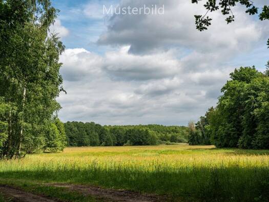 Land-/Forstwirtschaft zum Kauf 17.600 € 8.518 m² Grundstück Lohr Lohr am Main 97816