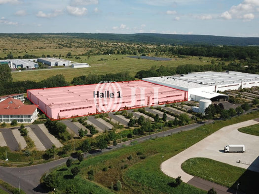 Lagerhalle zur Miete provisionsfrei 11.556,1 m² Lagerfläche Wenigenlupnitz Hörselberg-Hainich 99820
