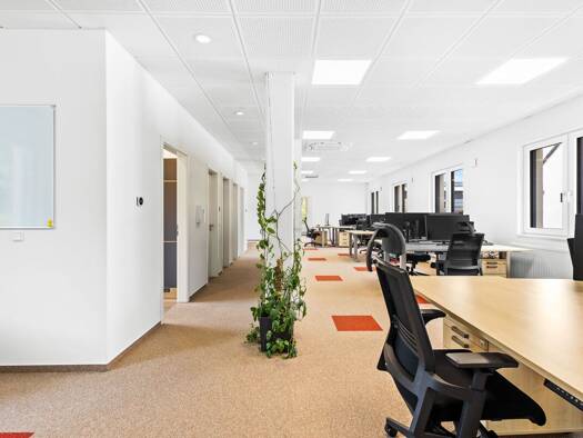 Bürofläche zum Kauf 849.000 € 239 m² Bürofläche Sinzing Sinzing 93161
