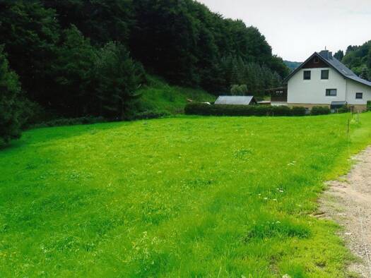 Freizeitgrundstück zum Kauf 8.000 € 2.268 m² Grundstück Kleinschmalkalden Floh-Seligenthal 98593