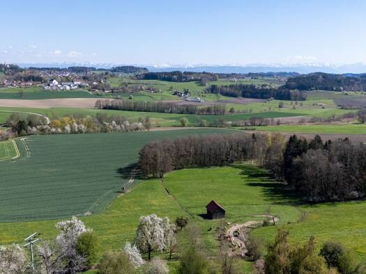 Einfamilienhaus zum Kauf 895.000 € 5 Zimmer 155 m² 7.547 m² Grundstück Grünkraut 88287