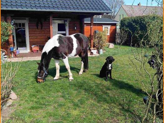 Einfamilienhaus zum Kauf 666.666 € 5 Zimmer 119 m² 1.255 m² Grundstück Großbeuthen Trebbin-Großbeuthen 14959
