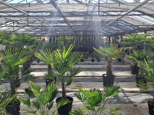 Halle/Industriefläche zur Miete provisionsfrei 750 € 150 m² Lagerfläche Dotzheim Wiesbaden 65199