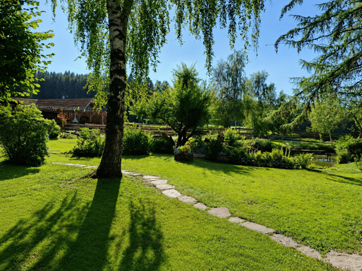 Bauernhaus zum Kauf 695.000 € 6 Zimmer 180 m² 25.000 m² Grundstück St. Roman 4793