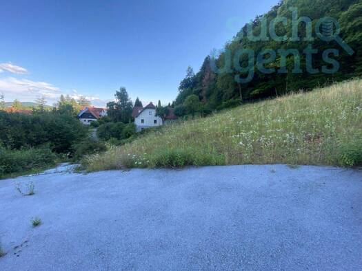 Grundstück zum Kauf 400.000 € 3.556 m² Grundstück Thal 8052