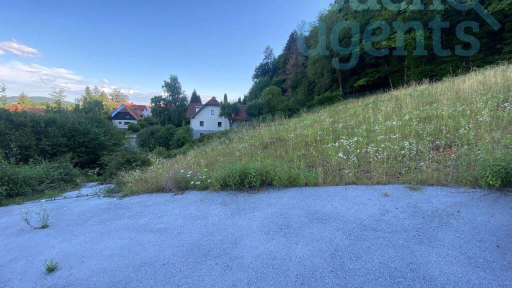 Grundstück zum Kauf 400.000 € 3.556 m² Grundstück Thal 8052