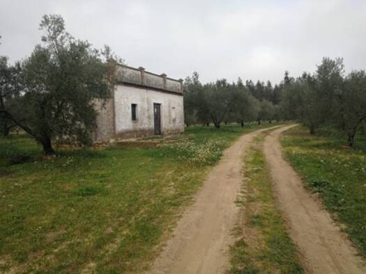 Bauernhaus zum Kauf provisionsfrei 160.000 € 4 Zimmer 120 m² 85.000 m² Grundstück Rociana del Condado 21720