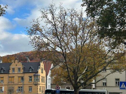 Wohnung zum Kauf 169.000 € 2 Zimmer 57 m² Geschoss 2/4 frei ab 01.03.2026 Groppstraße 1 Bad Kissingen 97688