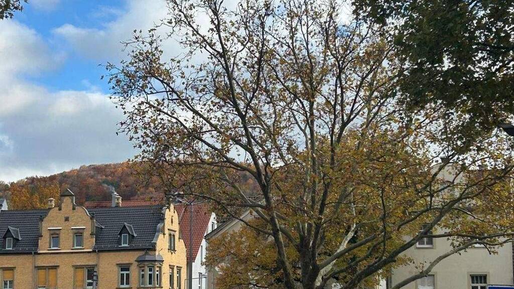 Wohnung zum Kauf 169.000 € 2 Zimmer 57 m² Geschoss 2/4 frei ab 01.03.2026 Groppstraße 1 Bad Kissingen 97688