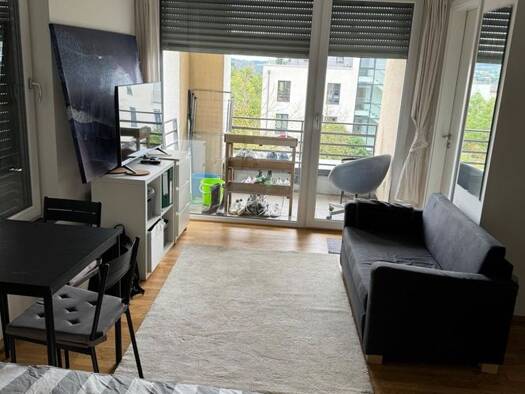 Studio zur Miete 435 € 1 Zimmer 30 m² Geschoss 2/2 frei ab sofort Kürenz Trier 54296