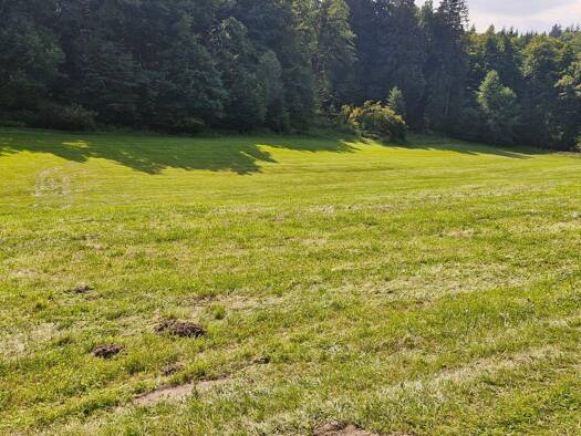 Grundstück zum Kauf 12.500 € 3.022 m² Grundstück frei ab sofort Walkertshofen 86877