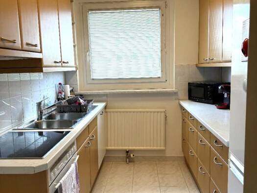 Wohnung zur Miete 408 € 2 Zimmer 63 m² 7. Geschoss Maria Enzersdorf 2344