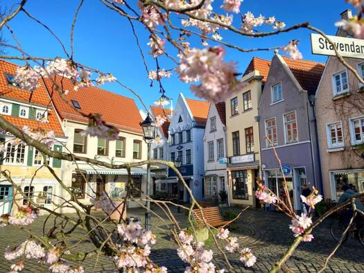 Restaurant zur Miete 16.500 € Altstadt Bremen 28195