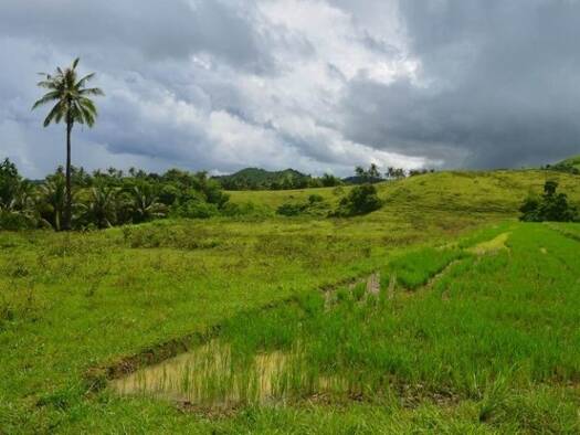 Grundstück zum Kauf 562.000 € 147.000 m² Grundstück Odiongan 5505