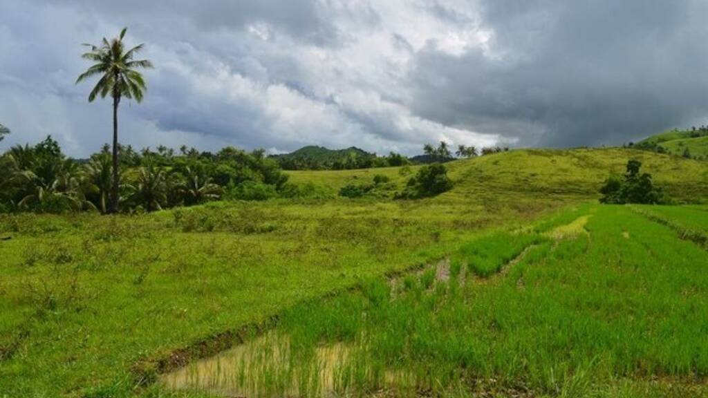 Grundstück zum Kauf 562.000 € 147.000 m² Grundstück Odiongan 5505