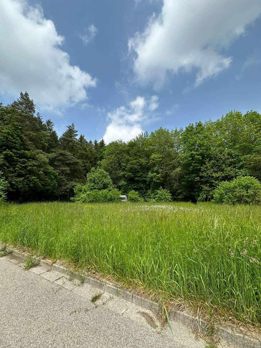 Grundstück zum Kauf 347.500 € 710 m²<br/>Grundstück Oberwittelsbach Aichach 86551