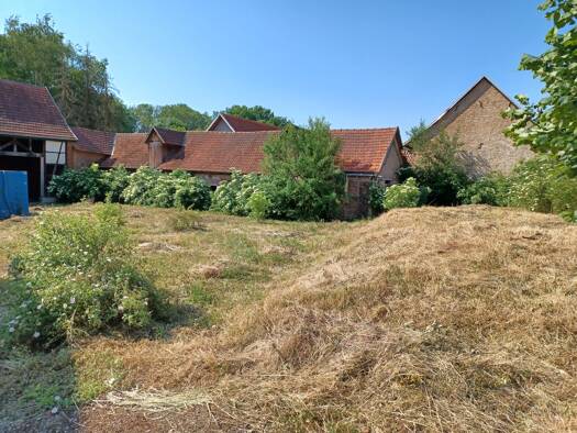 Bauernhaus zum Kauf provisionsfrei 60.000 € 4.269 m² Grundstück Thüringenhausen 99713