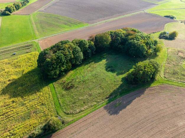 Land-/Forstwirtschaft zum Kauf 86.844 € 28.948 m² Grundstück Gladenbach 35075