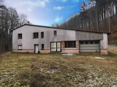 Lagerhalle zum Kauf 89.999 € 850 m² Lagerfläche Kleinschmalkalden Kleinschmalkalden 98593