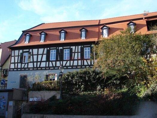 Mehrfamilienhaus zum Kauf 598.000 € 8 Zimmer 237 m² 212 m² Grundstück Oppenheim 55276