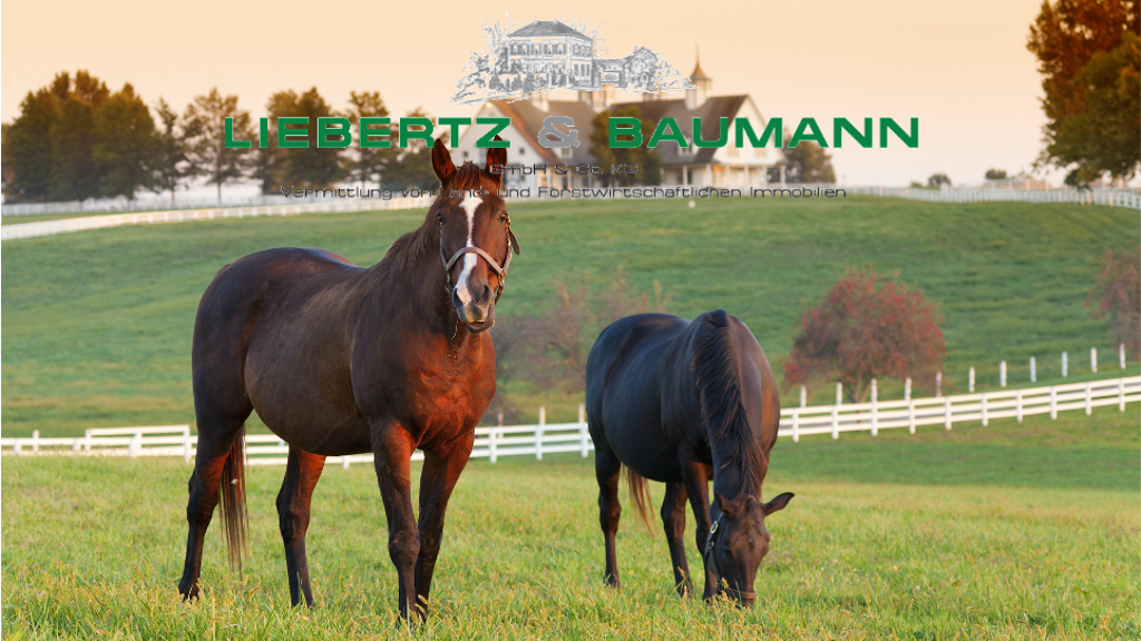 Land-/Forstwirtschaft zum Kauf 2.500.000 € Gottfried-Keller-Siedlung Halle (Saale) 06118