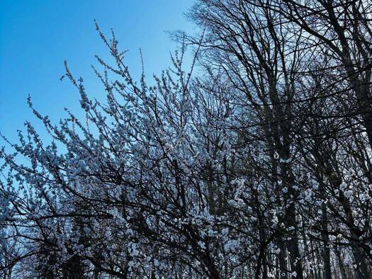 Haus zum Kauf 797.000 € 5 Zimmer 173 m² 697 m² Grundstück Lücklemberg Dortmund 44229