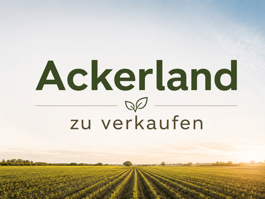 Land-/Forstwirtschaft zum Kauf 16.064 m² Grundstück Meckel 54636